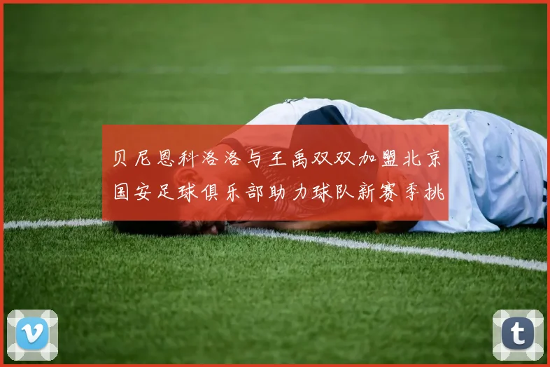 贝尼恩科洛洛与王禹双双加盟北京国安足球俱乐部助力球队新赛季挑战