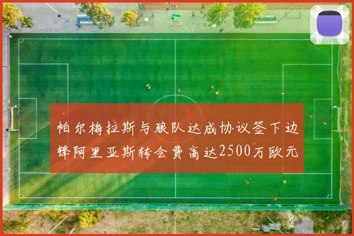 帕尔梅拉斯与狼队达成协议签下边锋阿里亚斯转会费高达2500万欧元